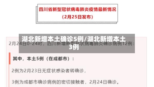 湖北新增本土确诊5例/湖北新增本土3例
