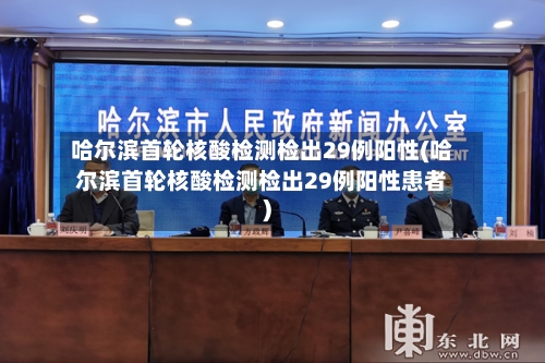 哈尔滨首轮核酸检测检出29例阳性(哈尔滨首轮核酸检测检出29例阳性患者)