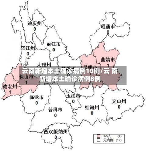 云南新增本土确诊病例10例/云 南新增本土确诊病例8例-第2张图片