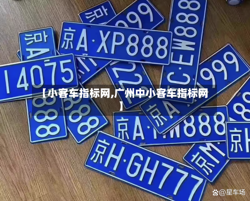 【小客车指标网,广州中小客车指标网】-第2张图片