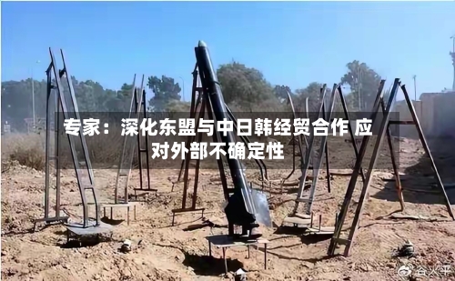 专家:深化东盟与中日韩经贸合作 应对外部不确定性-第3张图片