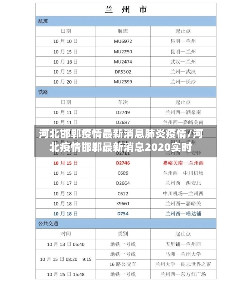 河北邯郸疫情最新消息肺炎疫情/河北疫情邯郸最新消息2020实时