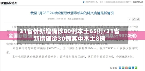 31省份新增确诊80例本土65例/31省新增确诊30例其中本土8例