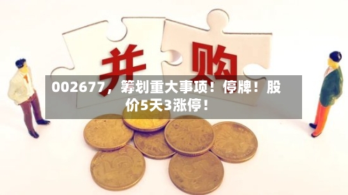 002677，筹划重大事项！停牌！股价5天3涨停！-第2张图片