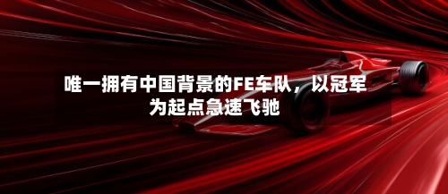 唯一拥有中国背景的FE车队，以冠军为起点急速飞驰