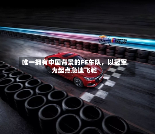 唯一拥有中国背景的FE车队，以冠军为起点急速飞驰-第2张图片