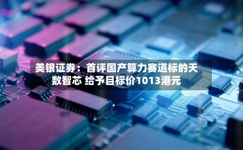 美银证券:首评国产算力赛道标的天数智芯 给予目标价1013港元-第3张图片