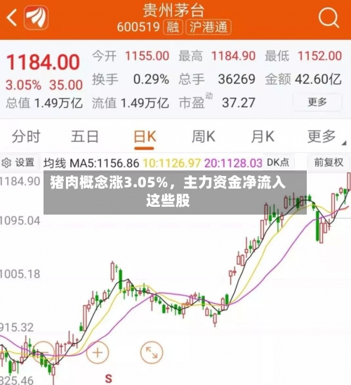 猪肉概念涨3.05%，主力资金净流入这些股-第2张图片