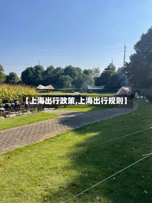 【上海出行政策,上海出行规则】