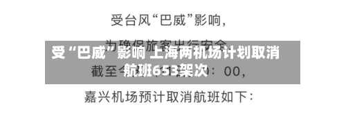 受“巴威”影响 上海两机场计划取消航班653架次