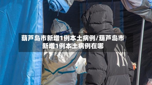 葫芦岛市新增1例本土病例/葫芦岛市新增1例本土病例在哪-第2张图片