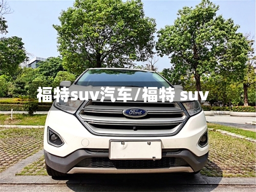福特suv汽车/福特 suv-第3张图片