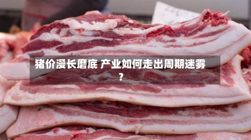 猪价漫长磨底 产业如何走出周期迷雾?-第2张图片