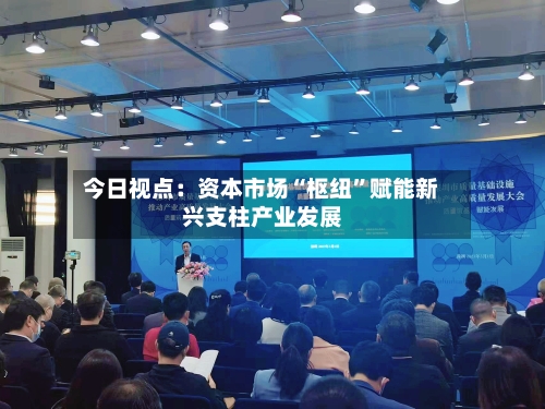 今日视点：资本市场“枢纽	”赋能新兴支柱产业发展-第2张图片