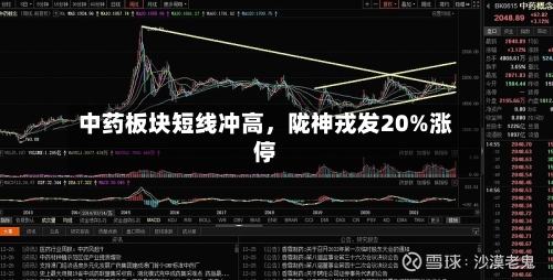 中药板块短线冲高，陇神戎发20%涨停
