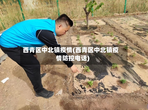 西青区中北镇疫情(西青区中北镇疫情防控电话)