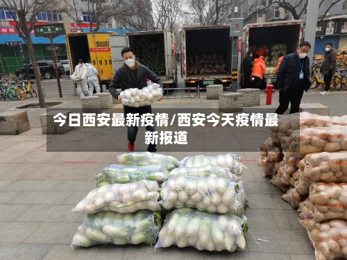 今日西安最新疫情/西安今天疫情最新报道-第3张图片