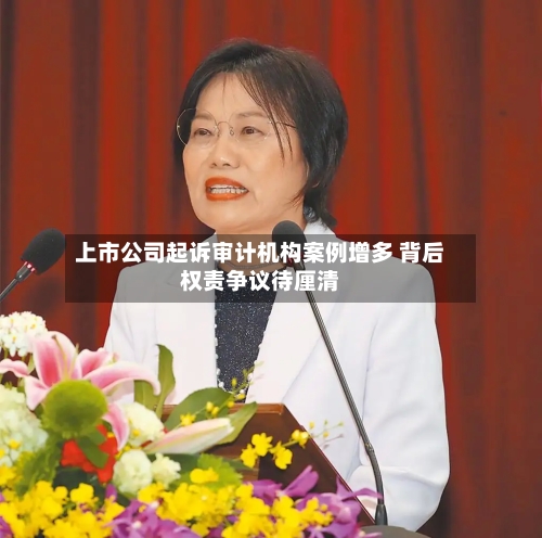 上市公司起诉审计机构案例增多 背后权责争议待厘清-第3张图片