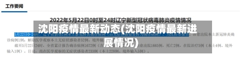 沈阳疫情最新动态(沈阳疫情最新进展情况)-第2张图片