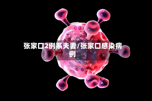 张家口2例系夫妻/张家口感染病例-第2张图片