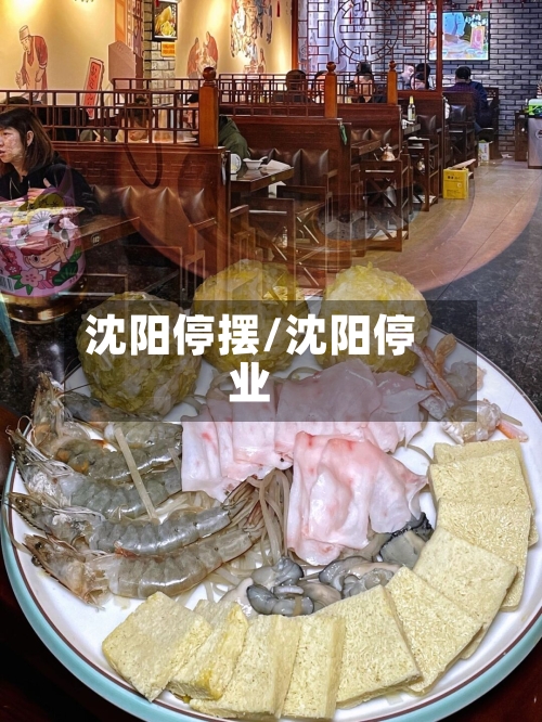 沈阳停摆/沈阳停业
