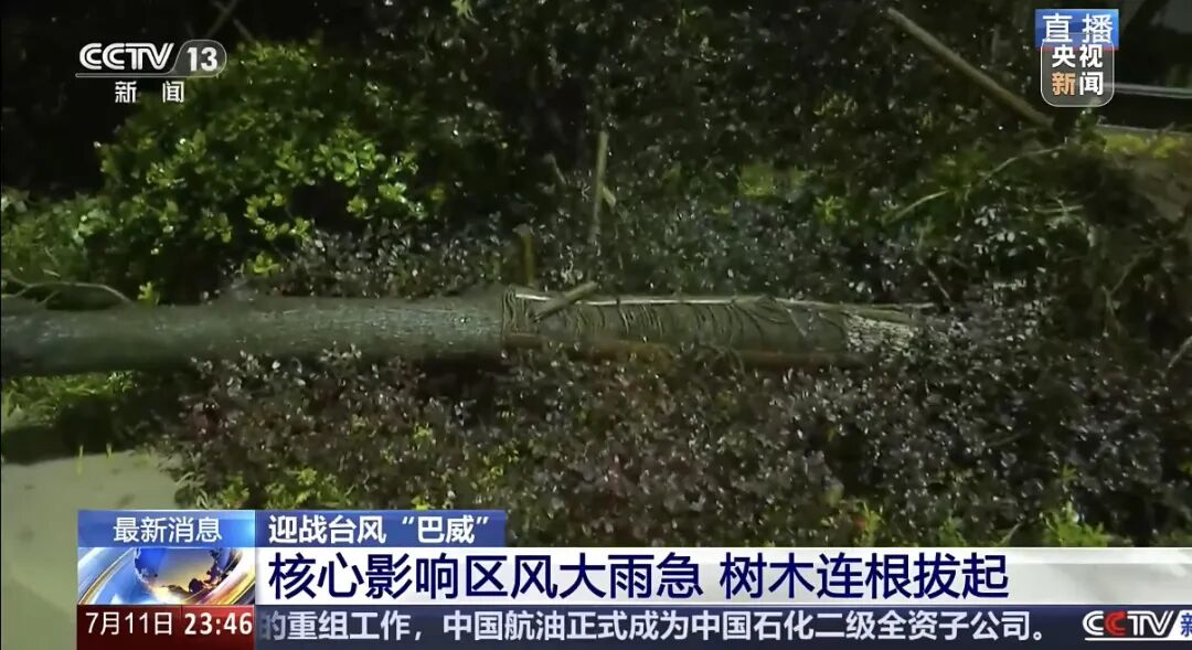 “巴威”最新路径公布！0时在浙江乐清二次登陆，5时减弱为强热带风暴	，中心最大风力11级